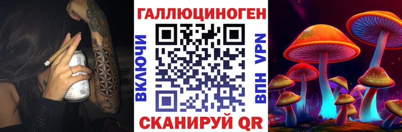 Купить где  Бузулук  Галлюциногенные грибы Psilocybe 